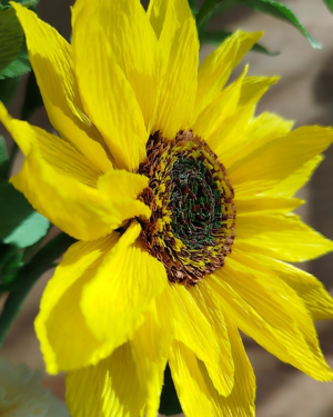 Zoom sur le coeur et les pétales d’un tournesol en papier